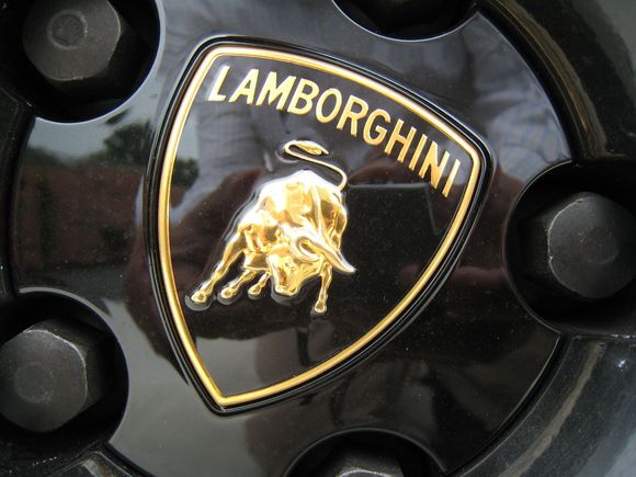 Lambo 8-16-08 042.jpg