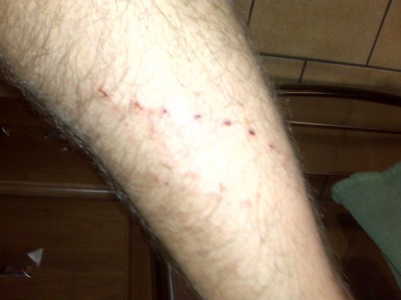 IMG00460.jpg