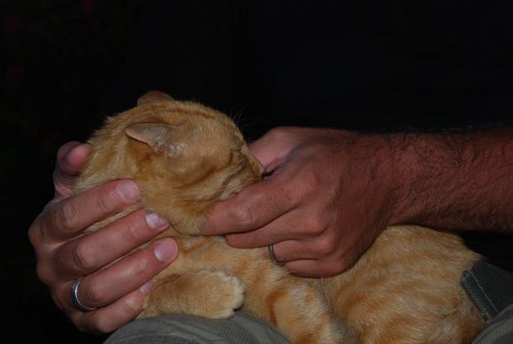 DSC_5569.JPG