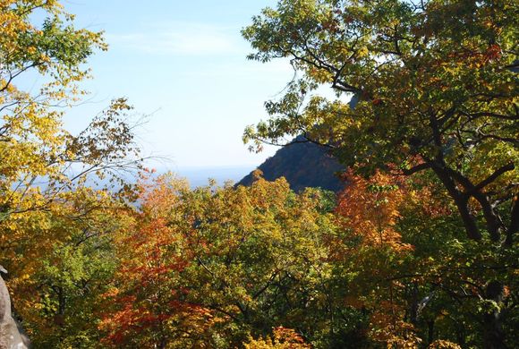 DSC_0062.JPG