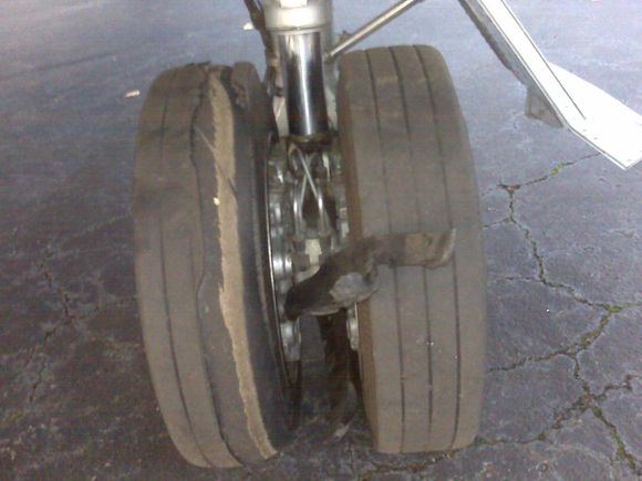 IMG00563.jpg