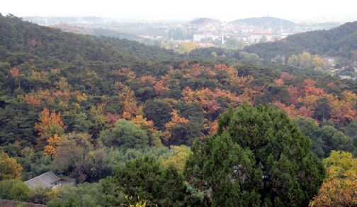 09-034 fall colors.jpg