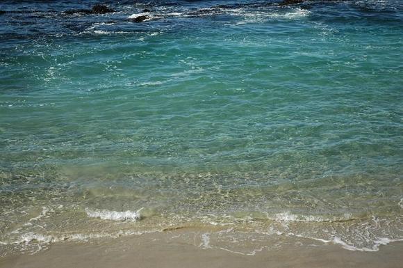 DSC_1693 081108 sea beach.JPG