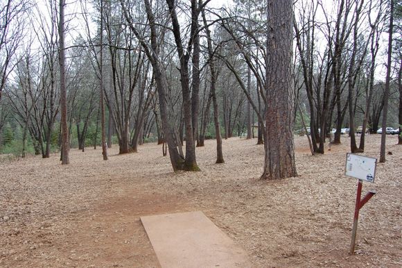 Hole 1 Condon Park...  275', downhill, do not overshoot.