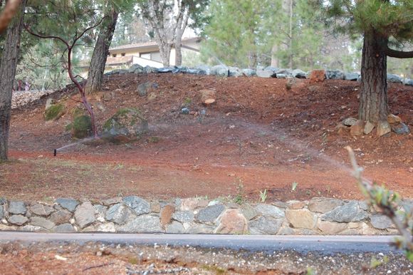 Zone 1 Irrigation