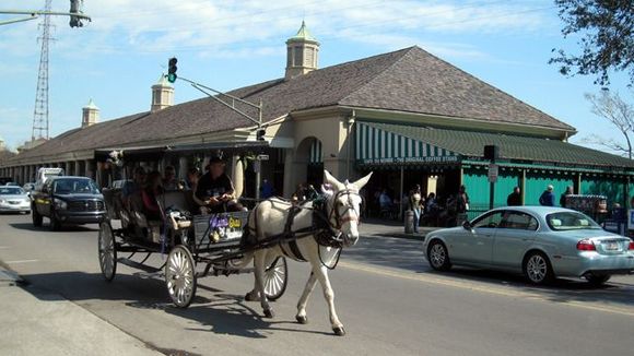 06 cafe du monde.jpg