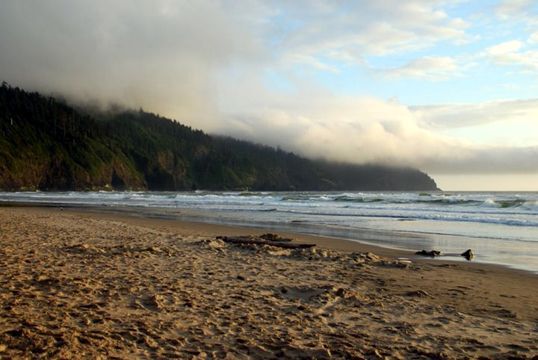 beach.jpg