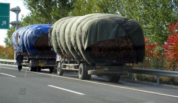 25 overloaded trucks.jpg