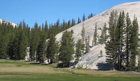 09 Tuolomne Meadows.jpg