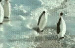 !cid_41200375454555301@13071999.gif