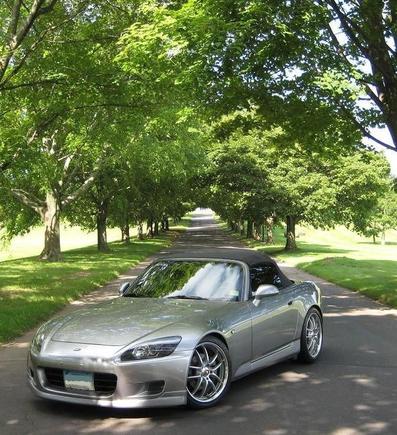 MG_8955q.JPG