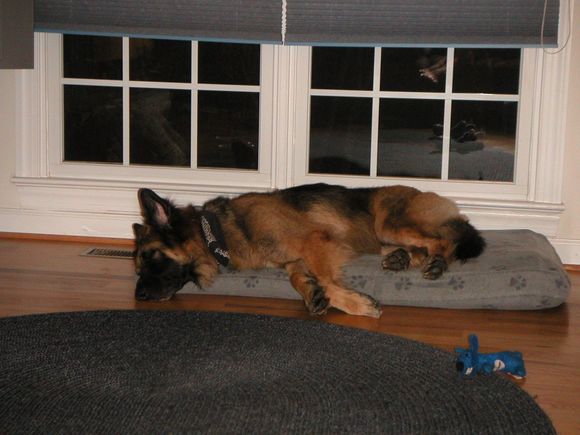 PICT0059.JPG