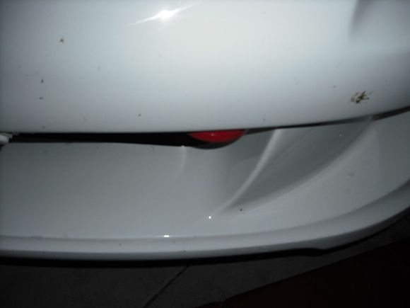 all pics 964.jpg