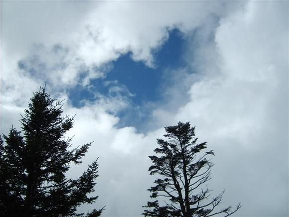 S5002123 (Small).JPG