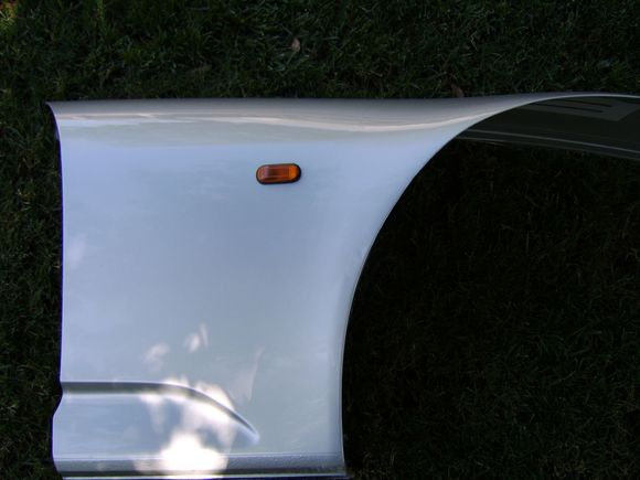 Fenders 003.jpg