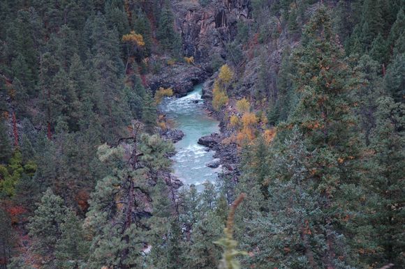 DSC_0278.JPG