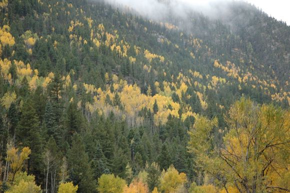 DSC_0387.JPG