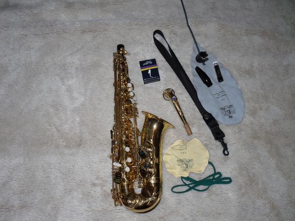 SDC10428.JPG