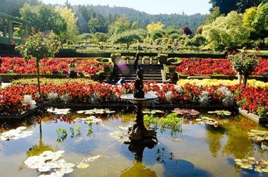 Butchart gardens pond (2).jpg