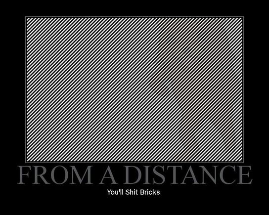734776.jpg