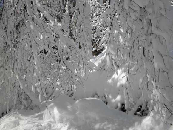 DSCN0100.JPG