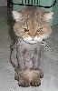 PIC17673 thumbnail.JPG