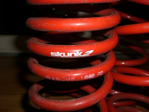 Skunk 2 springs. 002.jpg