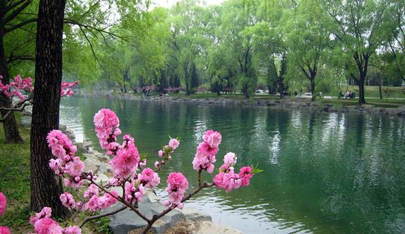 Beijing summer palace lake x.jpg