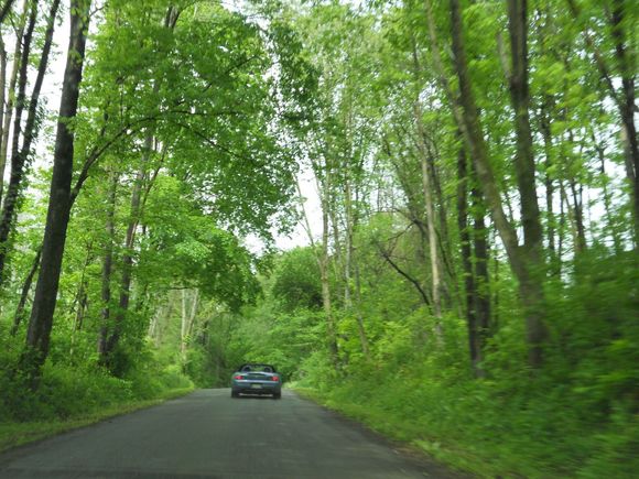 DSCN0057.JPG