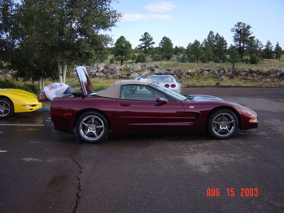 CorvetteGrape4.jpg