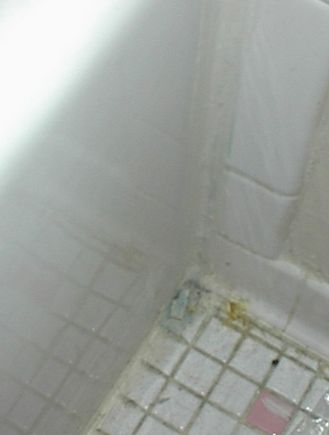 bath5.jpg