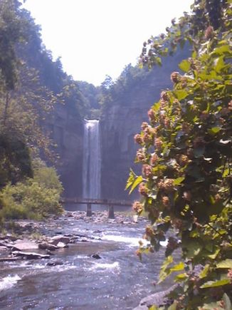 Picture 34.jpg