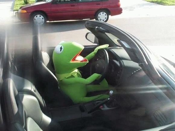 kermit3.jpg