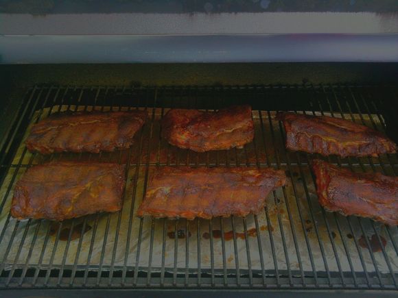 ribs1