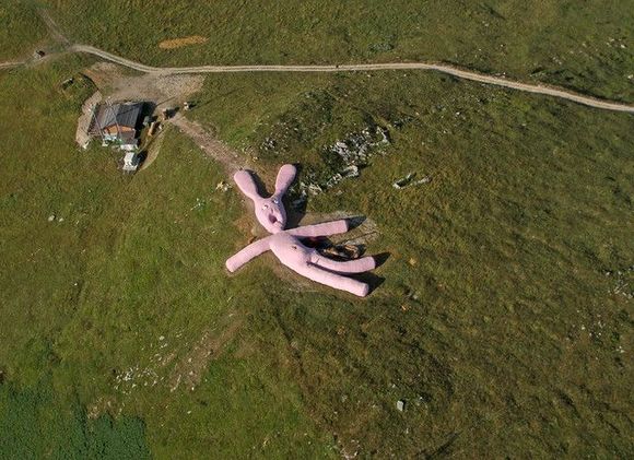 Big pink rabbit