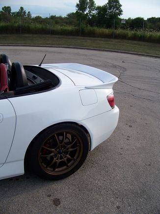 Love that wing