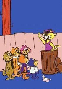 topcat2.jpg