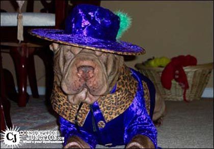 dawg.jpg