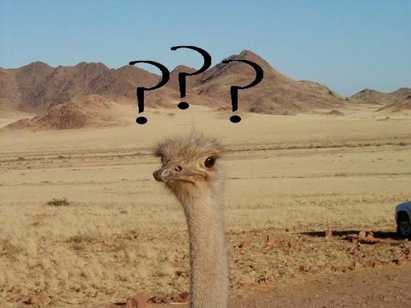 confused.jpg