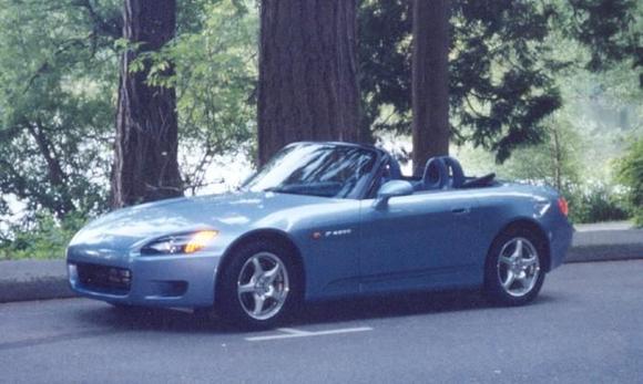 car in the trees.jpg