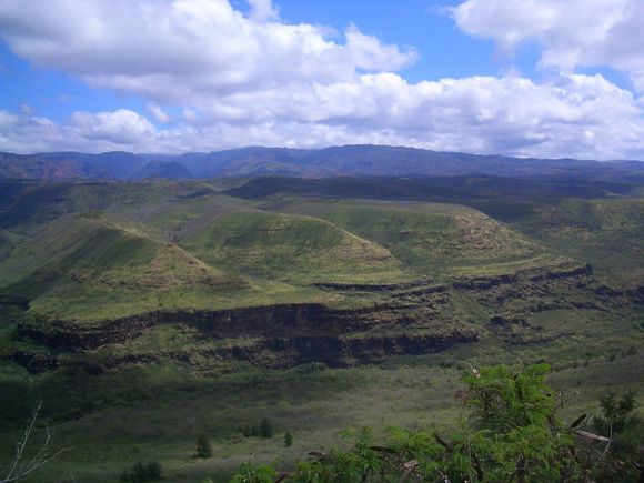 CIMG0539.JPG