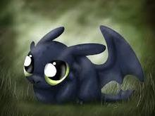 I'll find the pics of my car. But here's a Toothless for you in the meantime.
