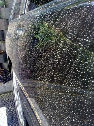 some water beading