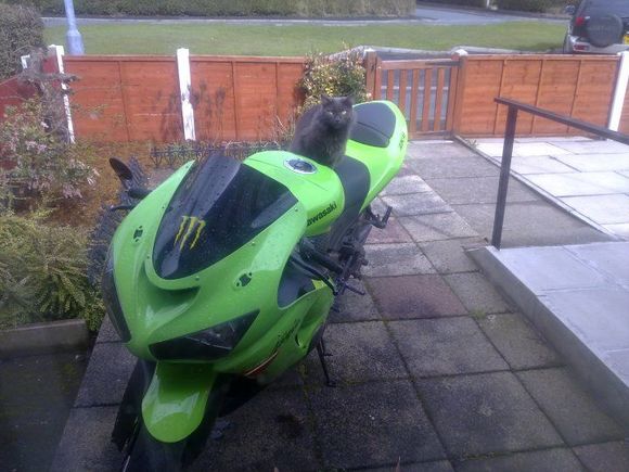 before i got knocked off it