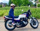 Honda Stable