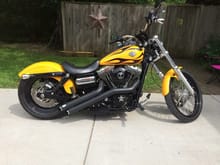 2011 FXDWG