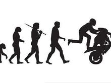 evolution