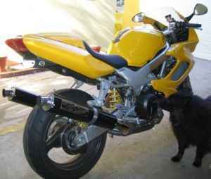 VTR 1000 (3)