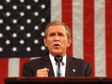 bush