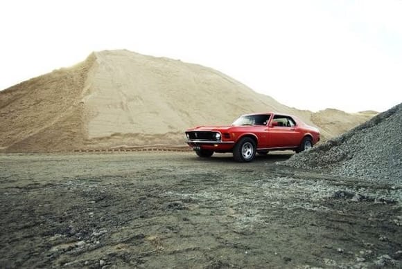 Larry's Mustang 5